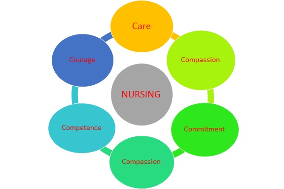 6cs of nursing poster