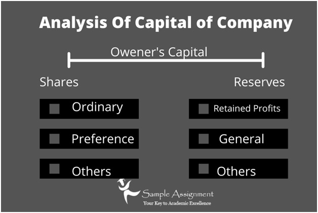 analysis of capital of company