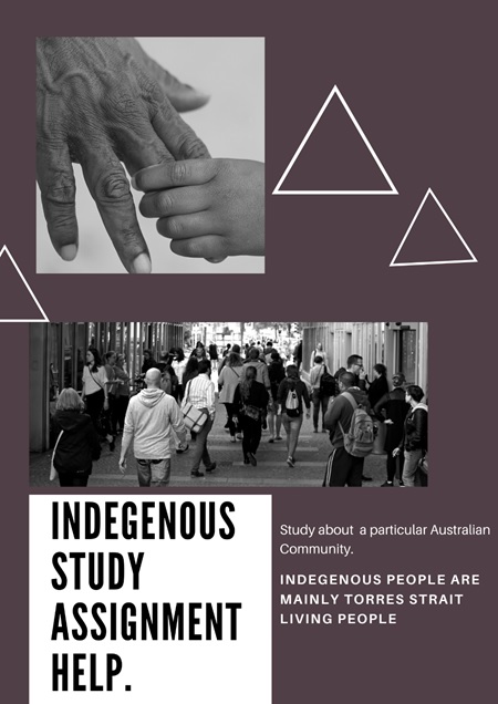 indigenous studies assignment help