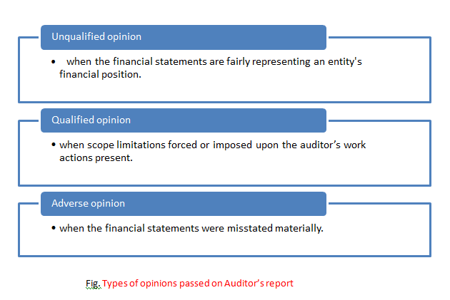 types of options passes on Auditors report