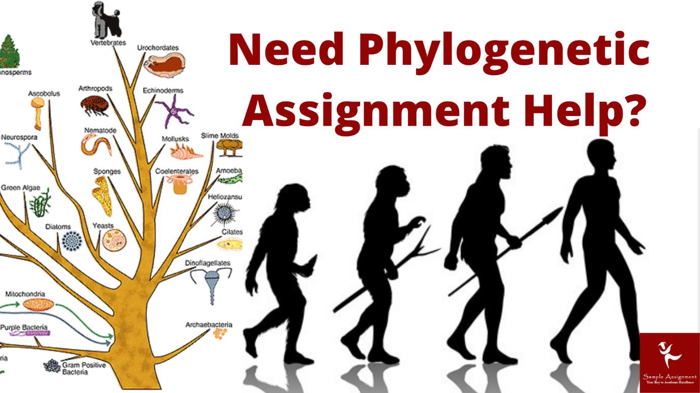 psylogenetic assignment help