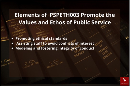 pspeth003 promote values and ethos of public service